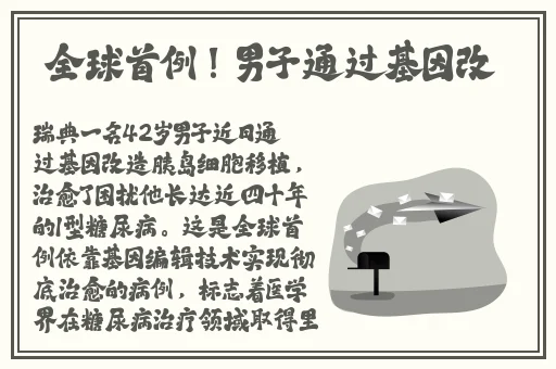 公园里的老年镖客视频人生